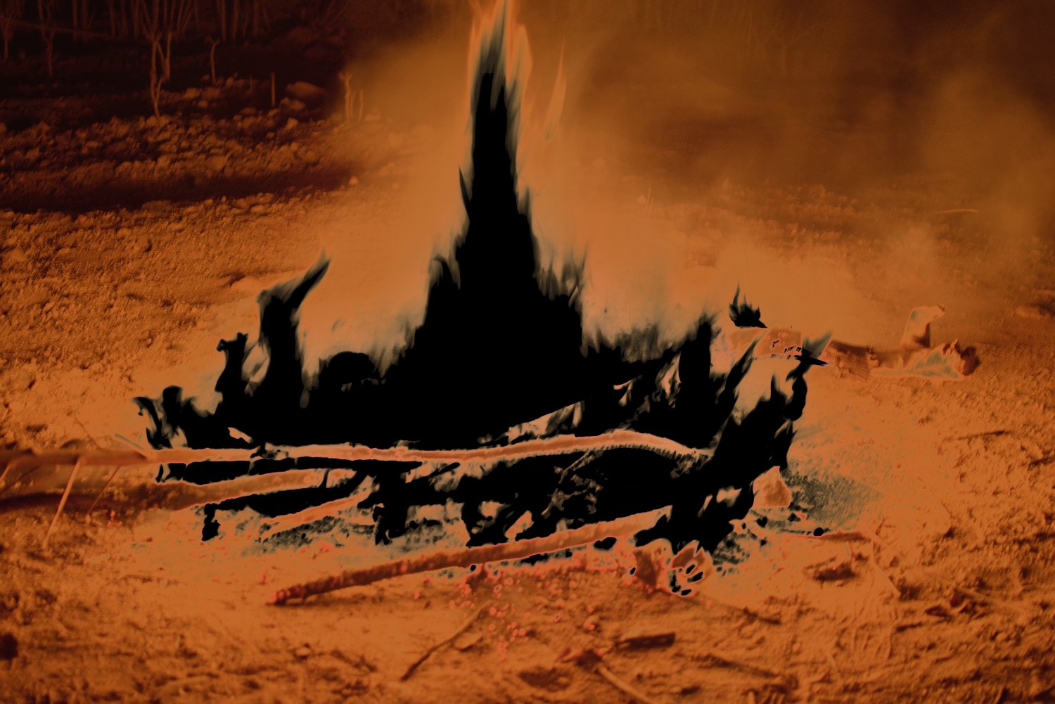 feveji's profile banner image