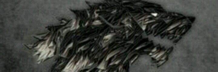nardeitor's profile banner image