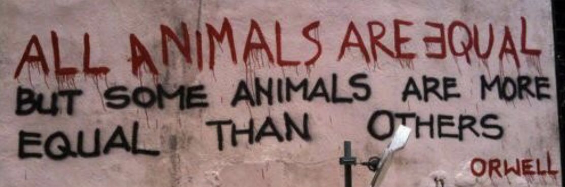 Sweet Woodruffs banner