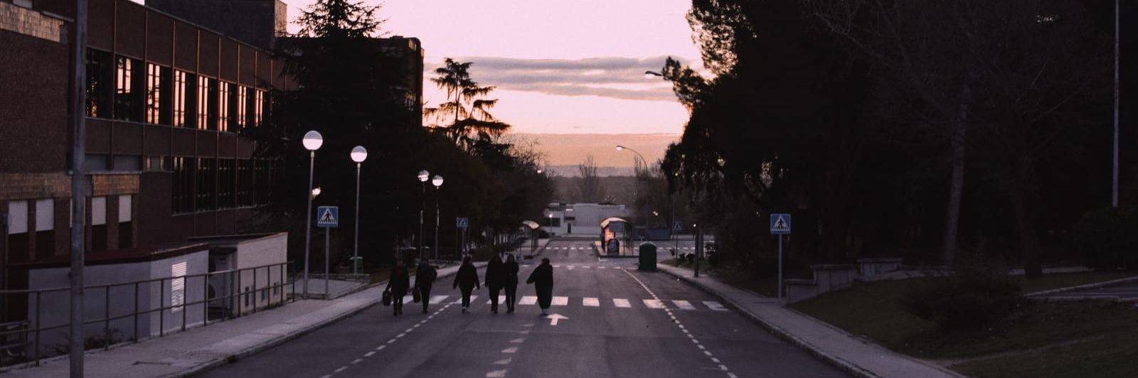 SofiaSapSa's profile banner image