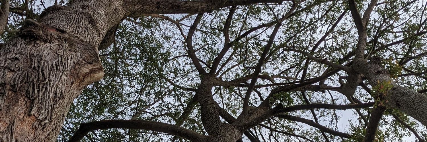 teyrabyte's profile banner image