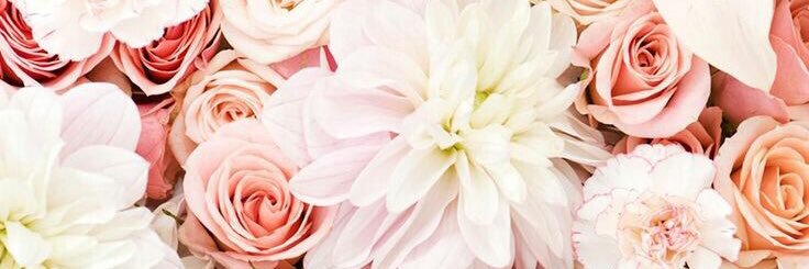 itsKayla_Rose's profile banner image