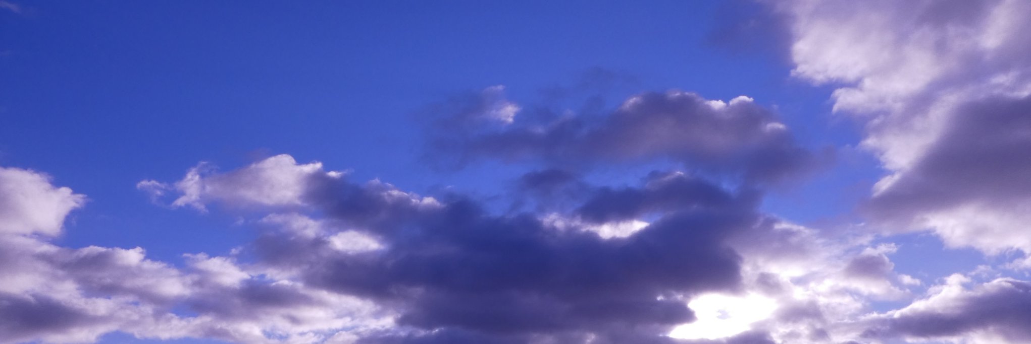 LauraRypens's profile banner image