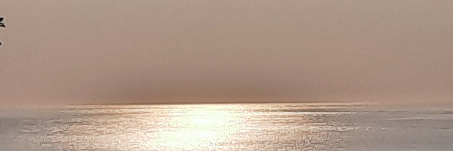 Miranda_AdamsCo's profile banner image