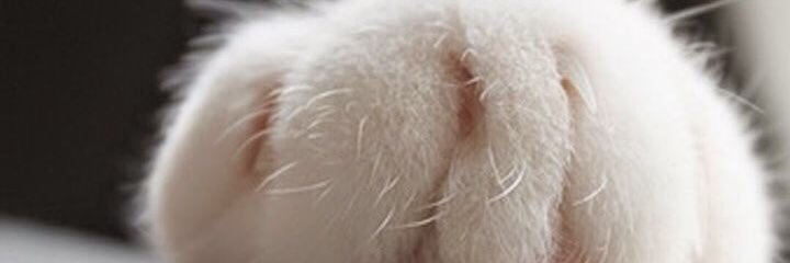 kame6636's profile banner image
