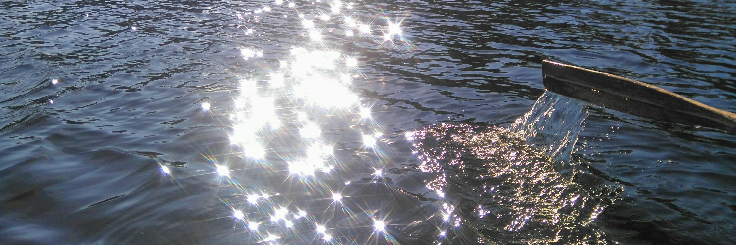 anu 🇫🇮 🇺🇦 banner