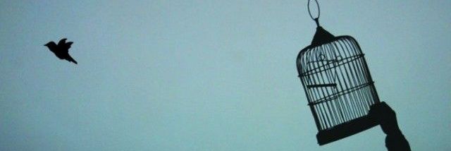 Ademyntn's profile banner image
