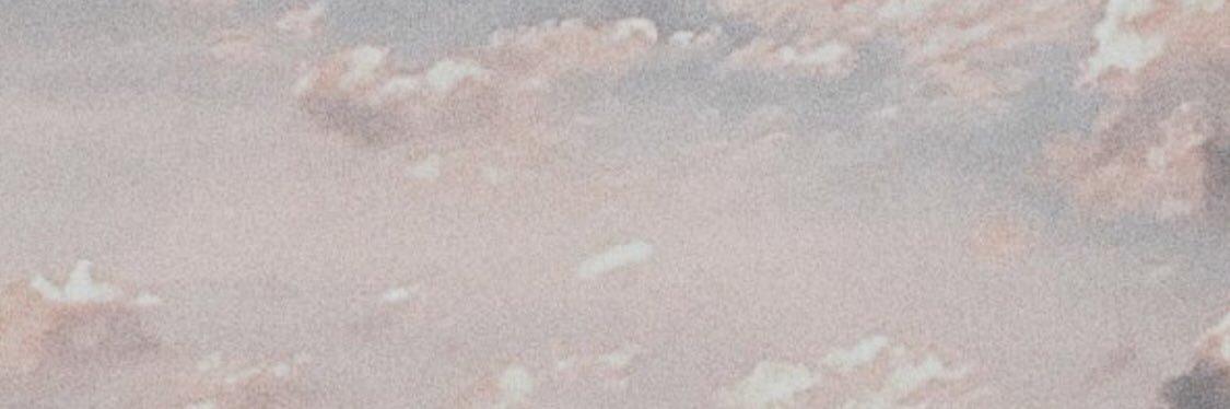 rraindeir's profile banner image