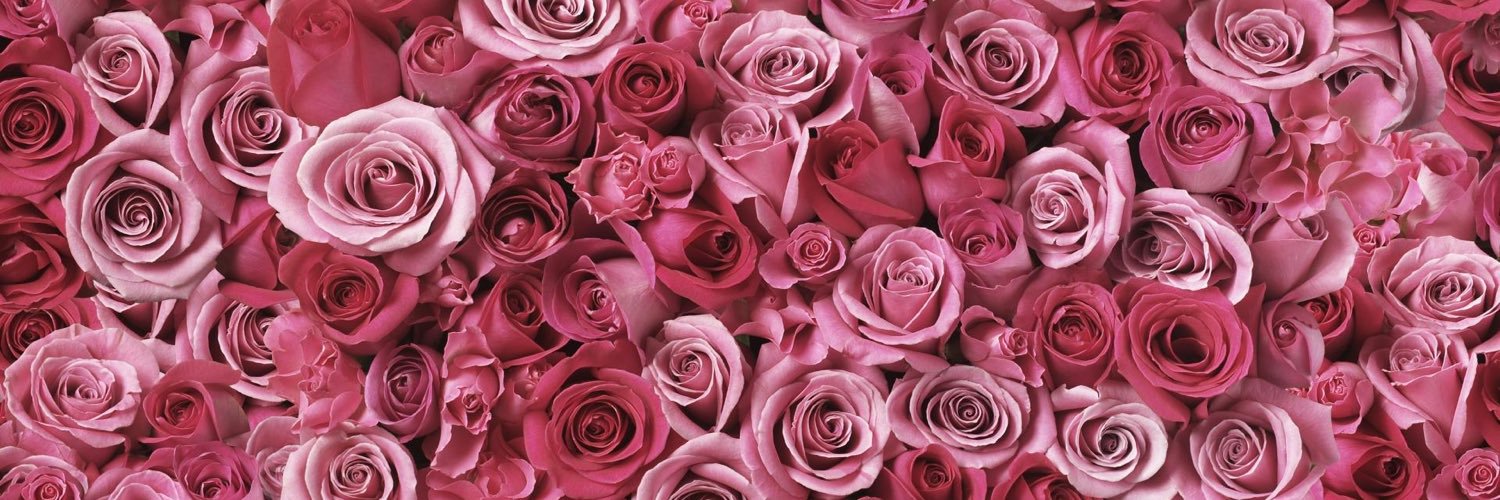oliviarosesweet's profile banner image