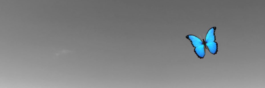 elzyyxk's profile banner image