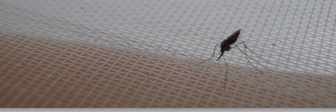 LSTM Vector Biology banner