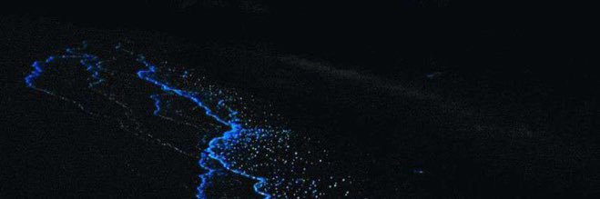 _S7A2_'s profile banner image