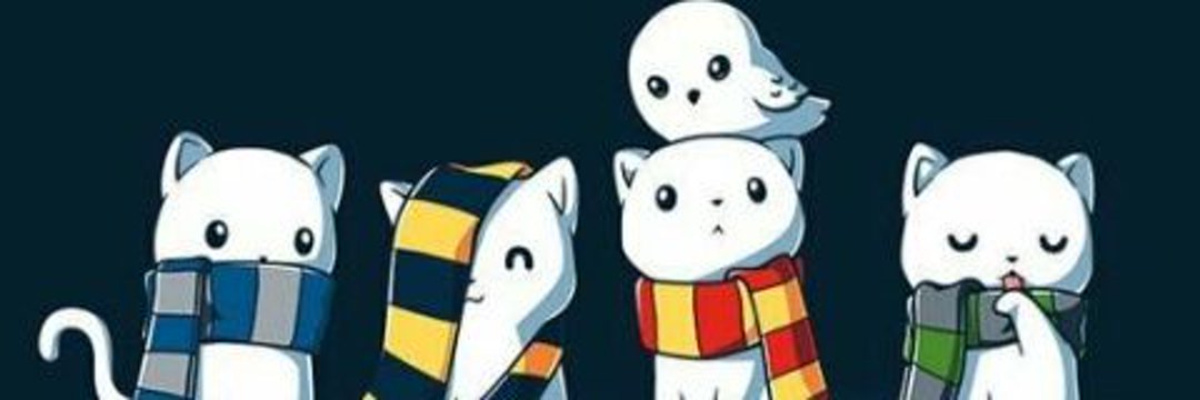 FiliusFlitwick3's profile banner image
