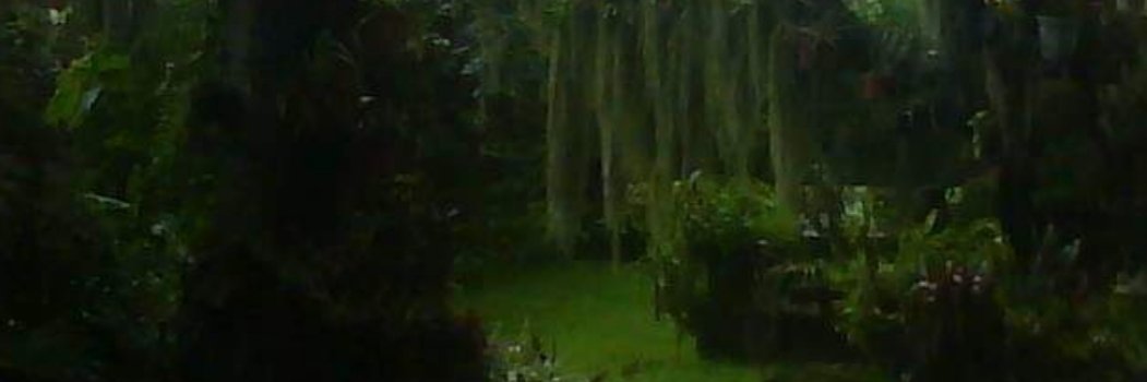 sergio09695613's profile banner image