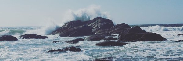 irisgorgona Profile Banner