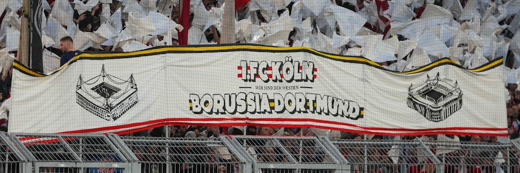 Jonas banner