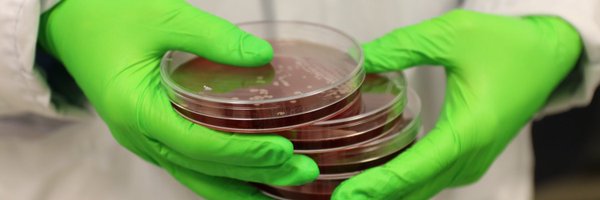 BergstenHelena Profile Banner