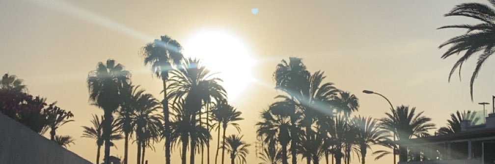 Tw14atson's profile banner image