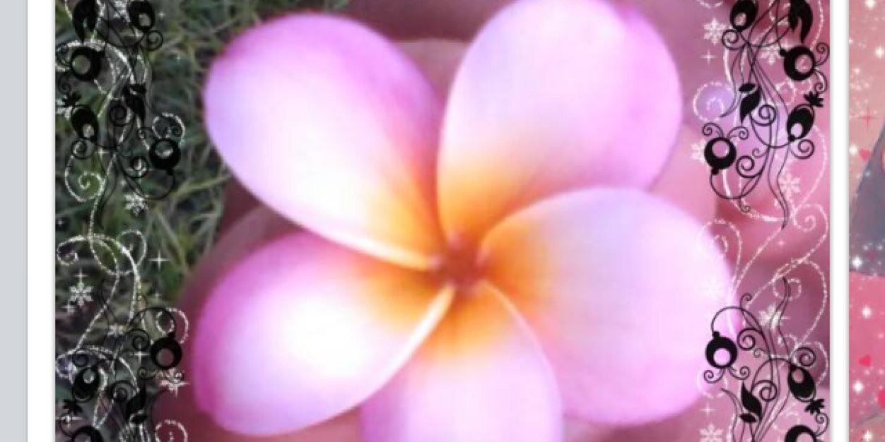 dpg086's profile banner image