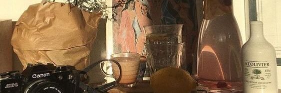 lerneia's profile banner image