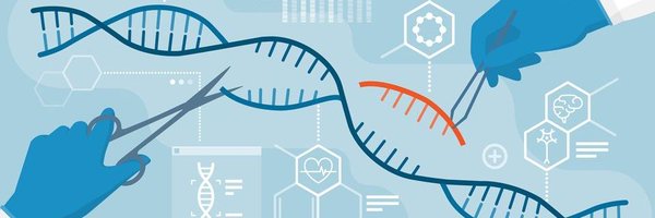 LilianeEleid Profile Banner