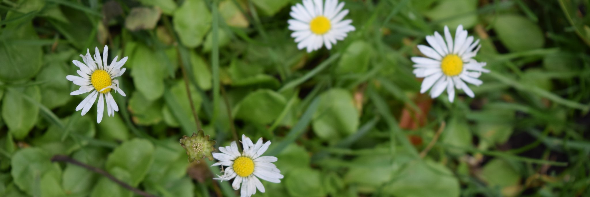 IlilBeinglass's profile banner image
