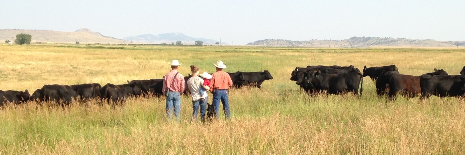 Ranching For Profit banner