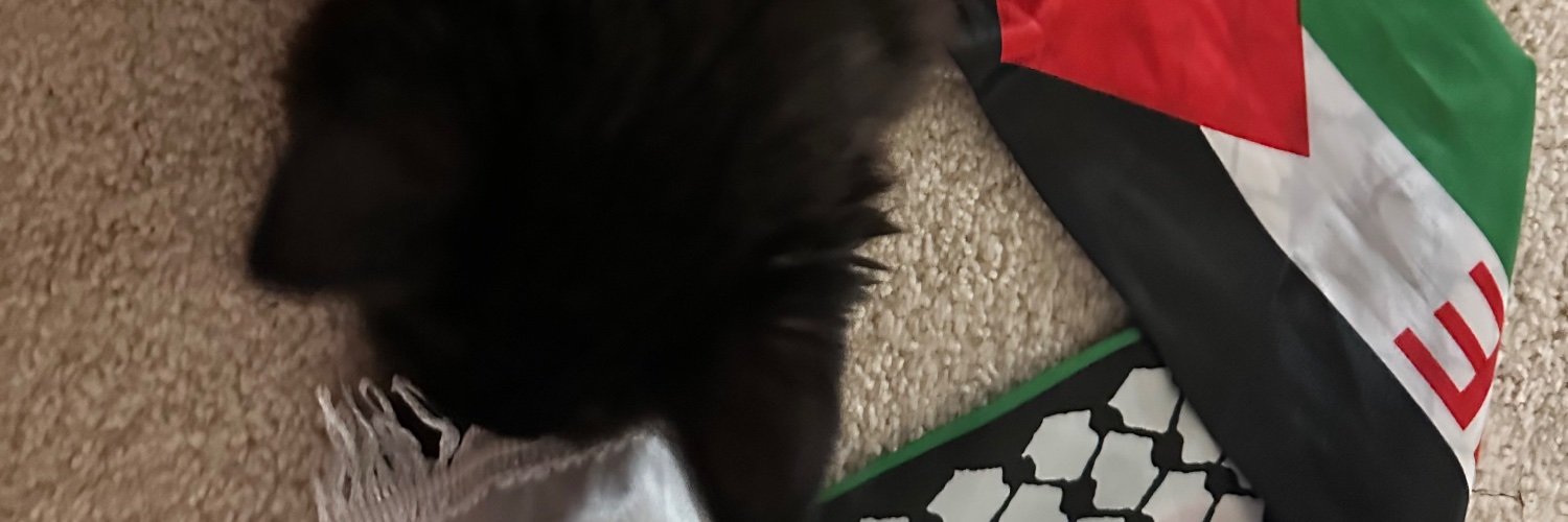 fatherofspark's profile banner image