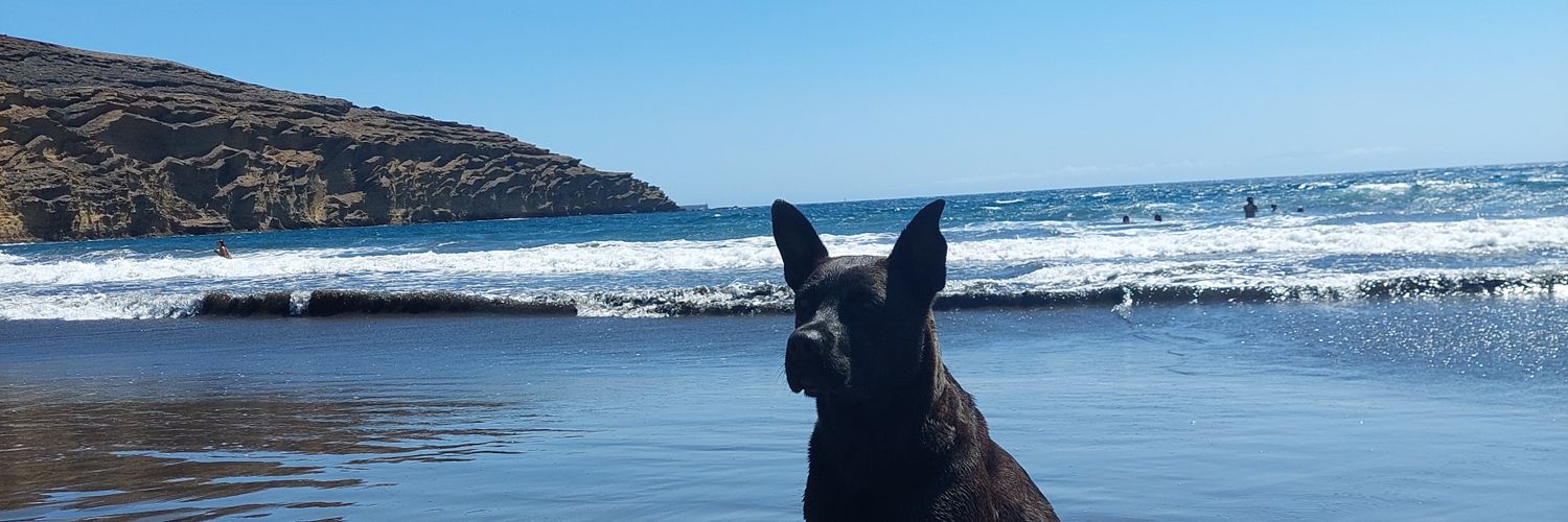 hildafaberg's profile banner image