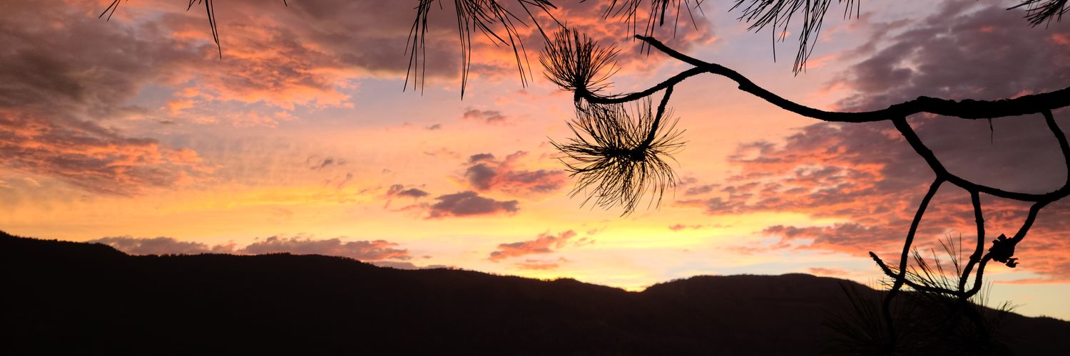 Isnardy's profile banner image