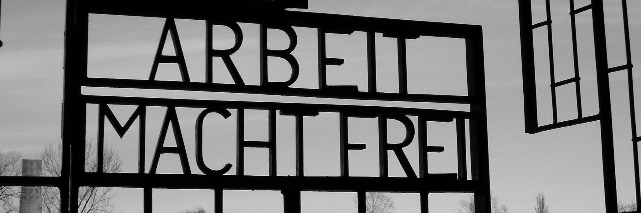 Daniel Zamora banner