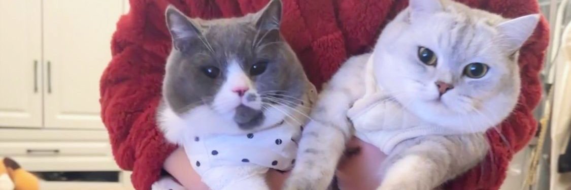 周周很可爱 banner