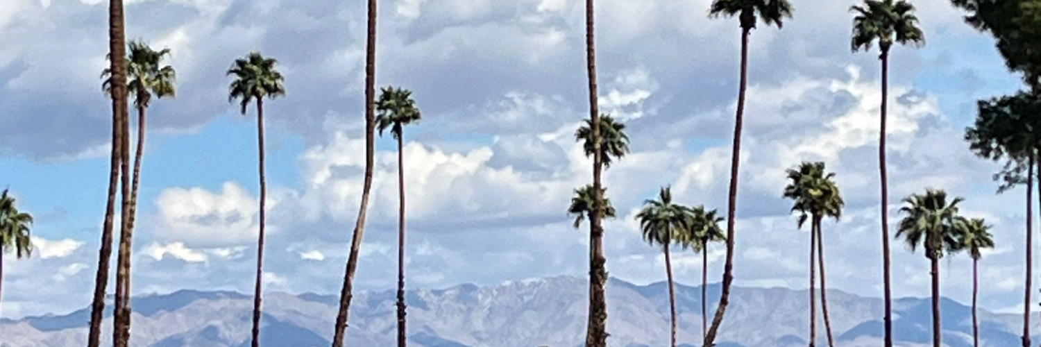 brittanybarbour's profile banner image