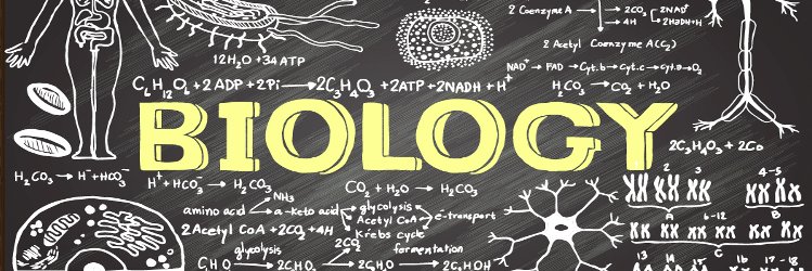 P. Brandon Crenshaw banner