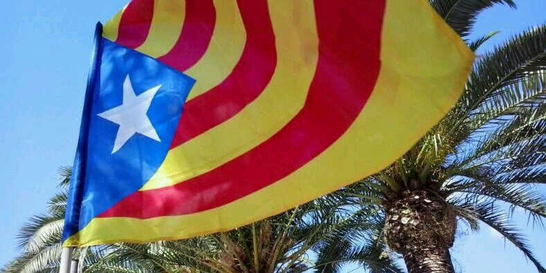 rosa_batalla's profile banner image