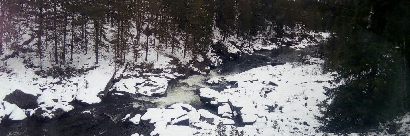 Ricardo Bisquert banner