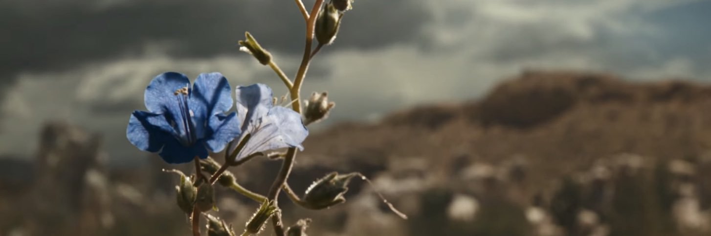 Ryptyz's profile banner image