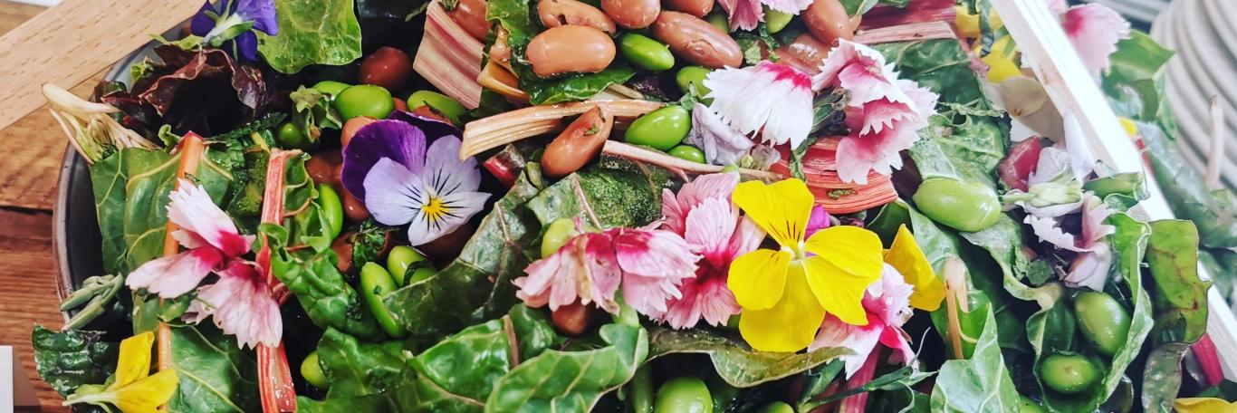 The Plot Catering Co. banner