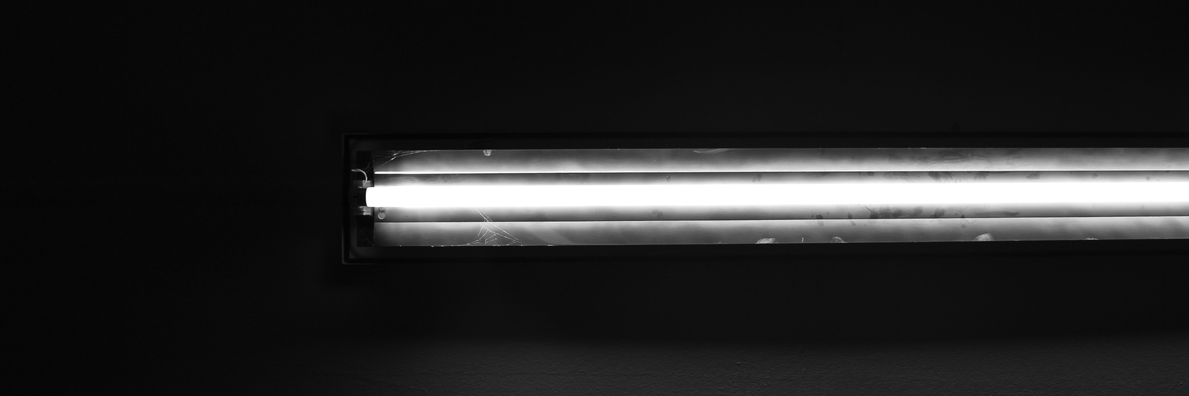luis banner