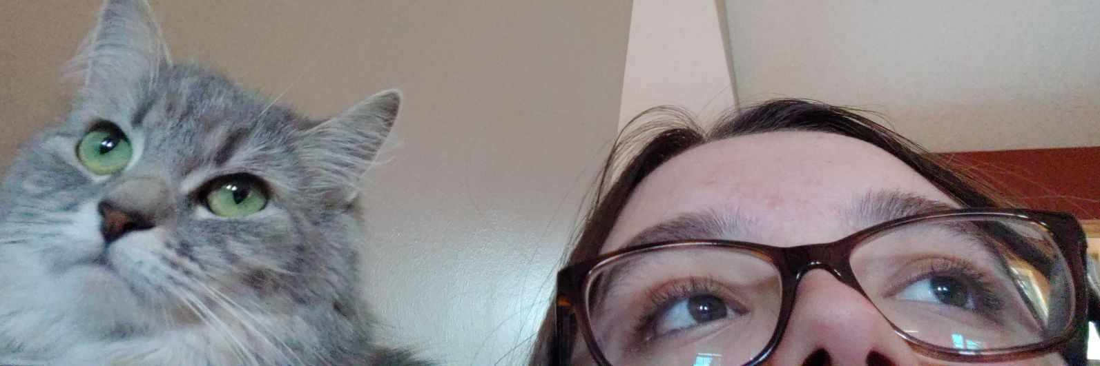 MikeWheelChair's profile banner image