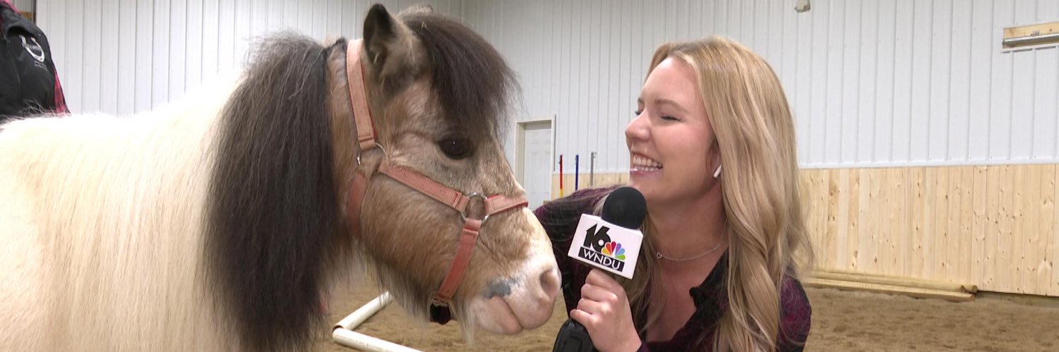 Melissa Stephens banner