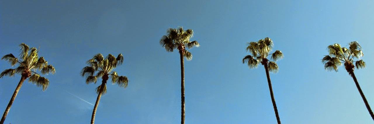 annanascentes's profile banner image