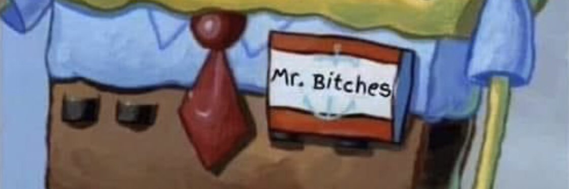 Mr. Bitches💰 banner