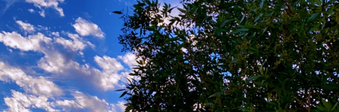 voolvvvv's profile banner image