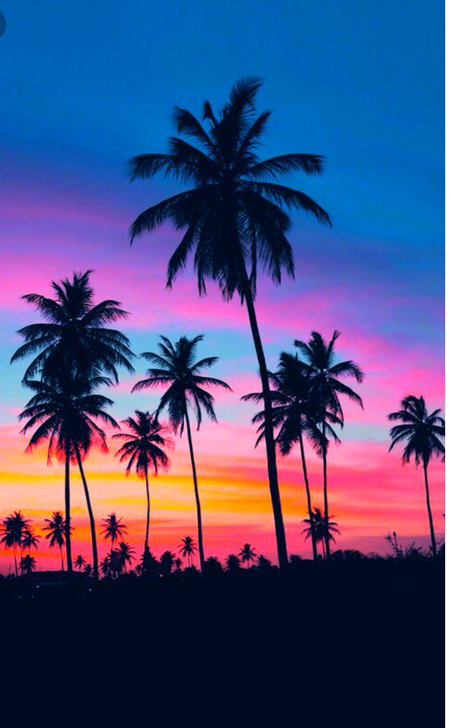 socalitrader's profile banner image