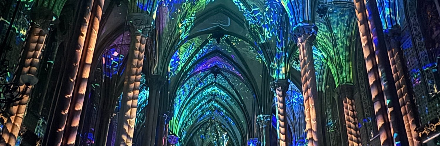 🌵🪞 banner