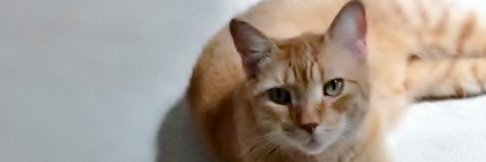 terrymat's profile banner image