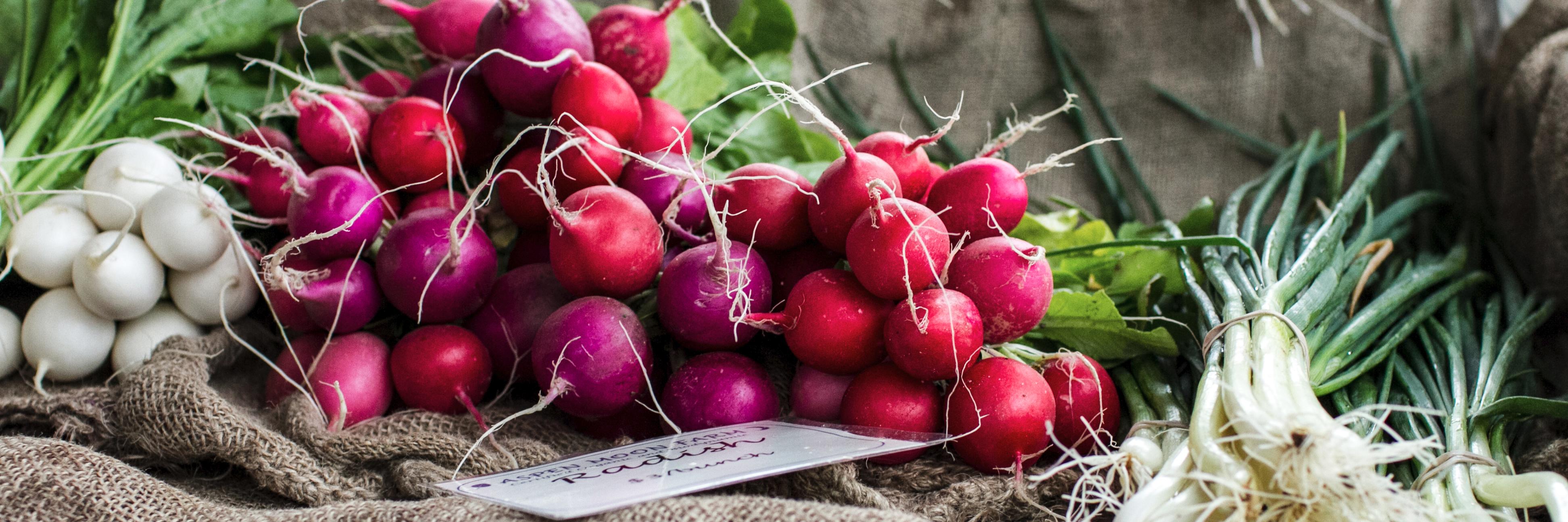 edibleASH's profile banner image