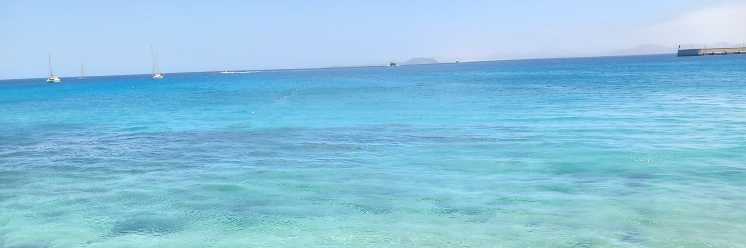 Connor Wilson banner