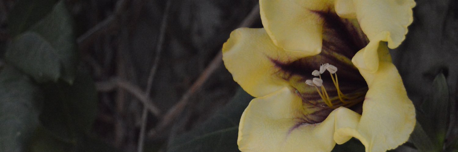 martagarspi's profile banner image